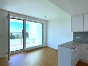 Pronájem bytu 3+kk, Brno, třída Generála Píky, 102 m2