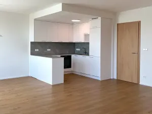 Pronájem bytu 3+kk, Brno, třída Generála Píky, 102 m2
