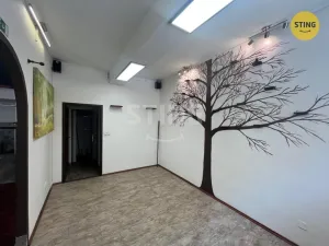 Pronájem obchodního prostoru, Ostrava - Moravská Ostrava, 30. dubna, 44 m2