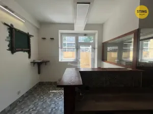 Pronájem obchodního prostoru, Ostrava - Moravská Ostrava, 30. dubna, 44 m2