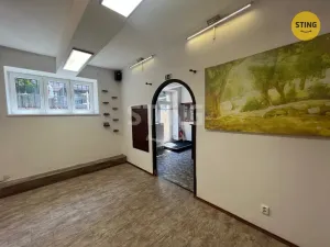 Prodej obchodního prostoru, Ostrava, 30. dubna, 44 m2