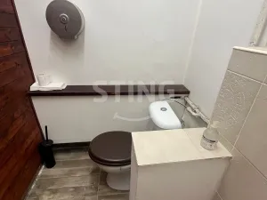 Prodej obchodního prostoru, Ostrava, 30. dubna, 44 m2