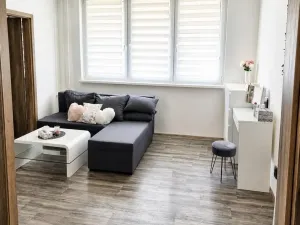 Pronájem bytu 2+1, Ostrava - Bělský Les, Dr. Šavrdy, 46 m2