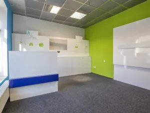 Prodej činžovního domu, Chrudim - Chrudim IV, Lupáčova, 612 m2