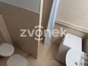 Prodej chalupy, Litenčice - Strabenice, 72 m2