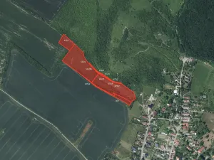 Prodej pole, Nepřevázka, 7797 m2
