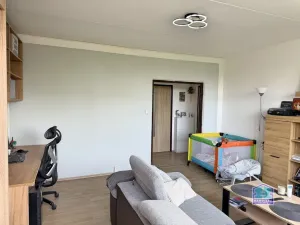 Prodej bytu 2+1, Plzeň - Bolevec, Sokolovská, 63 m2