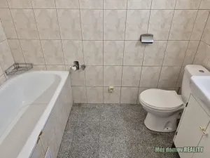 Pronájem bytu 1+kk, Praha - Vysočany, Freyova, 21 m2