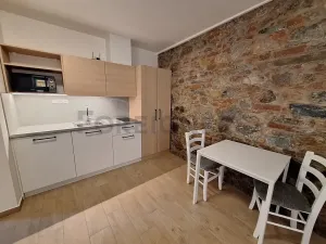 Pronájem bytu 1+kk, Olomouc, 1. máje, 20 m2
