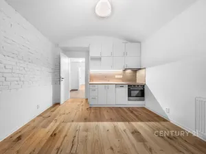 Pronájem bytu 2+kk, Praha - Nusle, Sezimova, 50 m2
