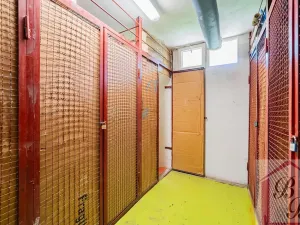 Prodej bytu 3+1, Benátky nad Jizerou, Platanová, 78 m2