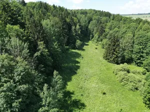 Prodej pozemku, Adršpach, 67106 m2