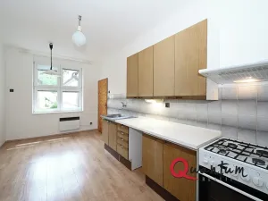 Pronájem bytu 1+1, Praha - Braník, Branická, 47 m2
