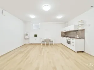 Prodej bytu 1+kk, Praha - Liboc, Za vokovickou vozovnou, 39 m2