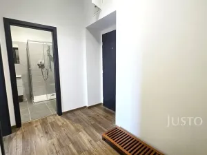 Pronájem bytu 1+1, Písek, Vladislavova, 40 m2