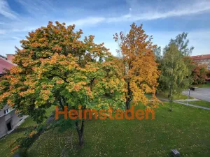 Pronájem bytu 2+1, Havířov - Město, Fibichova, 54 m2
