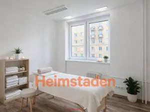Pronájem obchodního prostoru, Havířov - Město, Dělnická, 41 m2