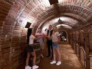 Prodej vinného sklepa, Bořetice, 120 m2