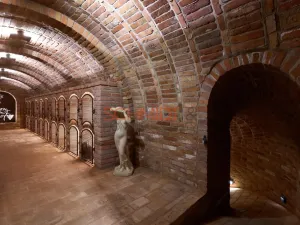 Prodej vinného sklepa, Bořetice, 120 m2