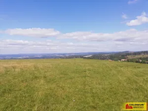 Prodej pole, Velenov, 1032 m2
