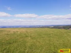 Prodej pole, Velenov, 1032 m2