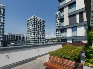 Pronájem bytu 2+kk, Praha - Žižkov, Olšanská, 61 m2