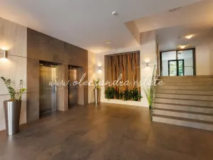 Pronájem bytu 2+kk, Praha - Žižkov, Olšanská, 61 m2