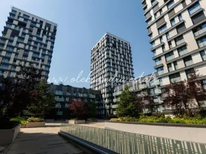 Pronájem bytu 2+kk, Praha - Žižkov, Olšanská, 61 m2