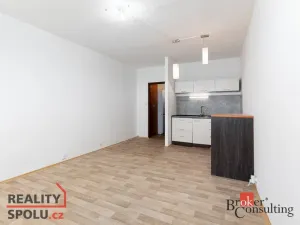 Pronájem bytu 1+kk, Ostrava - Výškovice, Výškovická, 27 m2