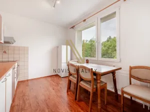 Pronájem bytu 4+1, Stráž, 87 m2