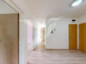 Pronájem bytu 4+1, Cheb, Americká, 86 m2