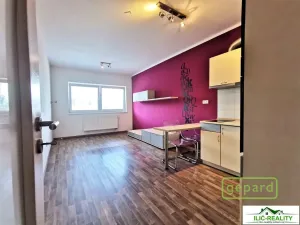 Pronájem bytu 1+kk, Plzeň, K Dolovu, 32 m2