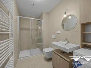 Prodej bytu 1+kk, Odolena Voda, Pod Sokolákem, 35 m2