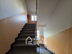 Pronájem bytu 1+kk, Olomouc, Dukelská, 24 m2