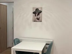 Pronájem bytu 2+kk, Praha - Žižkov, Sudoměřská, 48 m2