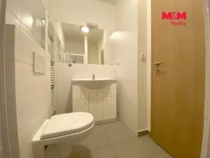 Pronájem bytu 1+kk, Slaný, Wilsonova, 38 m2