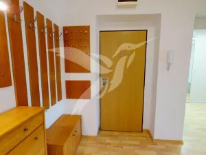Pronájem bytu 3+1, Plzeň, Vlastina, 69 m2
