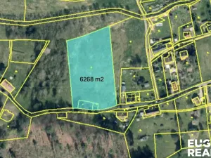 Prodej pozemku pro bydlení, Šluknov - Rožany, 6268 m2
