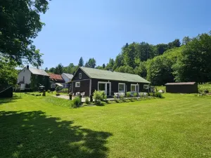 Prodej pozemku pro bydlení, Zábřeh - Dolní Bušínov, 4122 m2