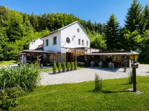 Prodej pozemku pro bydlení, Zábřeh - Dolní Bušínov, 4122 m2