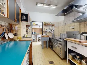 Prodej pozemku pro bydlení, Zábřeh - Dolní Bušínov, 4122 m2