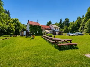 Prodej pozemku pro bydlení, Zábřeh - Dolní Bušínov, 4122 m2