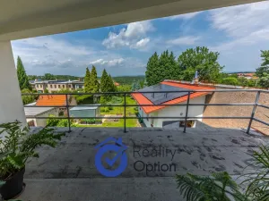 Prodej vícegeneračního domu, Kostelec nad Černými lesy - Kostelec nad Černými Lesy, Pražská, 361 m2
