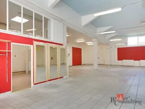 Pronájem obchodního prostoru, České Budějovice - České Budějovice 3, Otakarova, 400 m2
