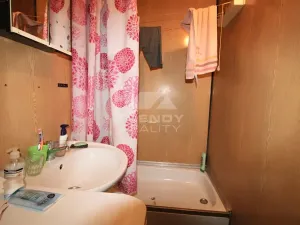 Prodej bytu 1+1, Plzeň, Žlutická, 39 m2