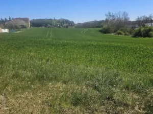 Prodej pozemku pro bydlení, Nové Strašecí, Nádražní, 12266 m2