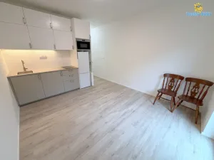 Pronájem bytu 1+kk, Únětice, Rýznerova, 22 m2