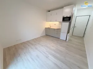 Pronájem bytu 1+kk, Únětice, Rýznerova, 22 m2