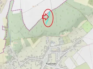 Prodej podílu lesa, Pustiměř, 1292 m2