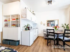 Pronájem bytu 1+kk, Praha - Hostivař, Vladycká, 28 m2